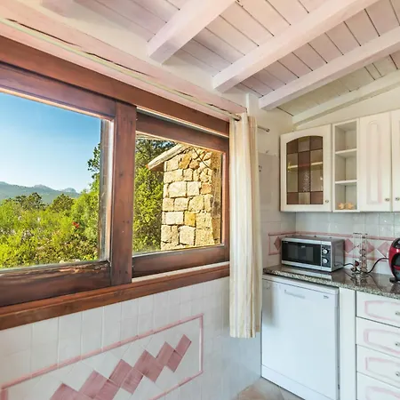 Maestrale 100m From - Happy *